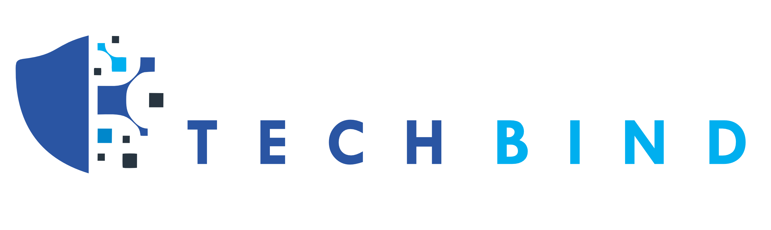 TECHBIND Logo